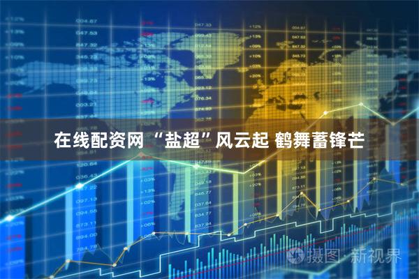 在线配资网 “盐超”风云起 鹤舞蓄锋芒